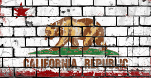 The $800 California LLC Tax and California LLC Fee: A CPA Answers All!