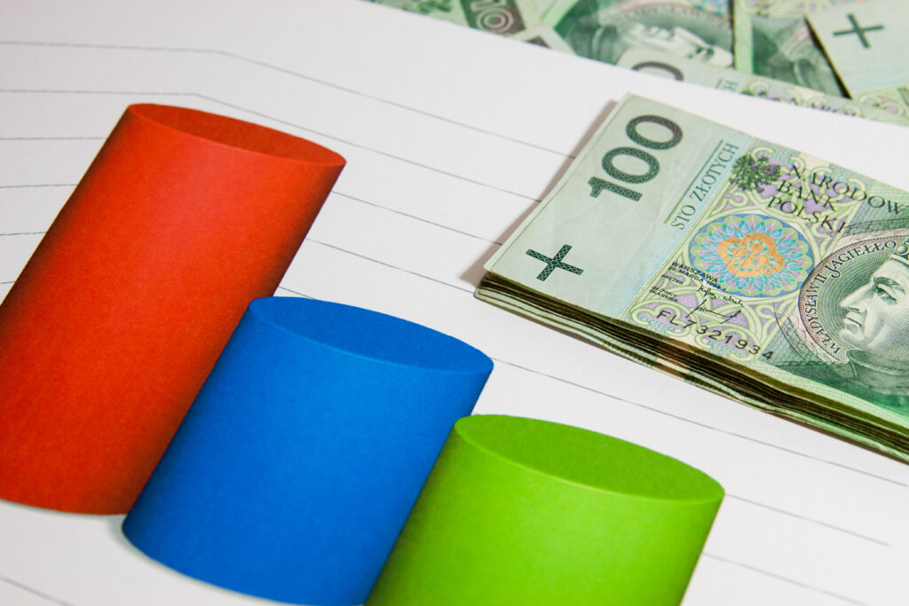 The Basics of S Corporation Stock and Debt Basis 