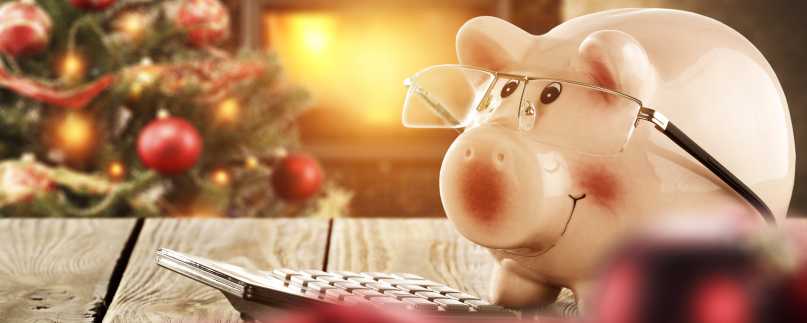 Holiday Survival Budget