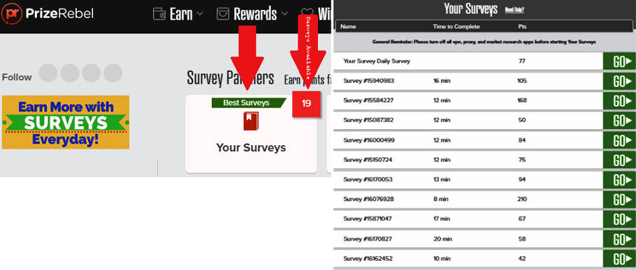 Money for Surveys Prize Rebel - Best Surveys