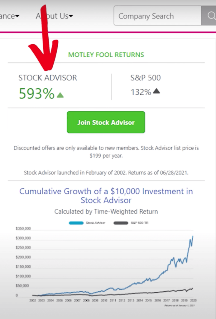 motley fool performance
